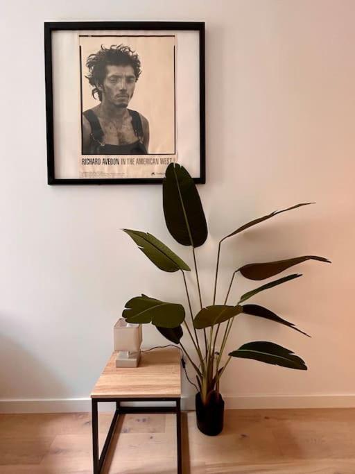 Appartement Le Romy Toulouse
